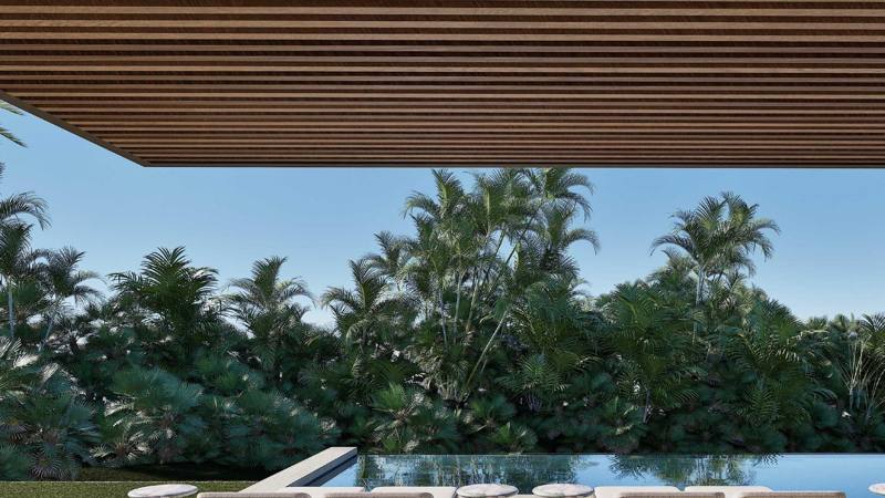 Piscina y terraza